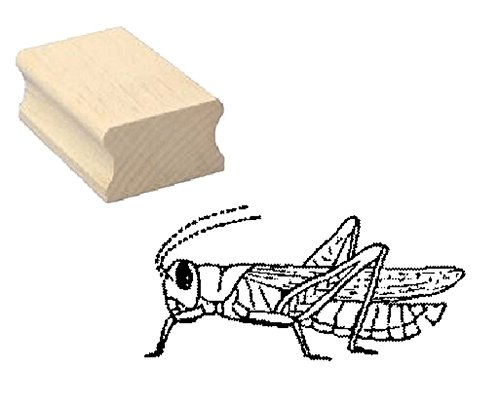 Stempel Holzstempel Motivstempel « HEUSCHRECKE » Scrapbooking - Embossing Kinderstempel Tierstempel Insekten Grille Stempel Holzstempel Motivstempel « HEUSCHRECKE » Scrapbooking - Embossing Kinderstempel Tierstempel Insekten Grille von DEKOLANDO