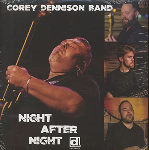 Night After Night (Lp) [Vinyl LP] von DELMARK
