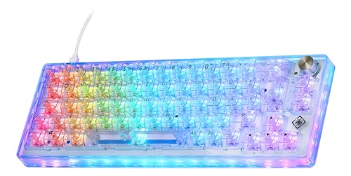DELTACO GAMING DK460 – Mechanische Gaming Tastatur (RGB-Beleuchtung, QWERTZ Layout, 65%, 67 Tasten, USB-C) – Transparent von DELTACO GAMING