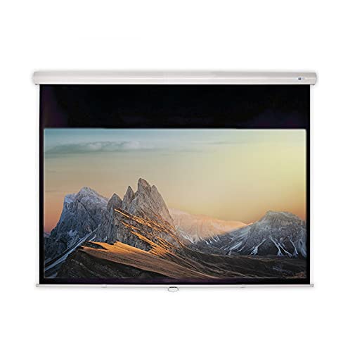 DELUXX Advanced Slow-Motion Heimkino- und Business-Rollo-Leinwand Mattweiss Interio mit Softeinzug und Fieberglasgewebe - 16:9-266x148 cm - 120 Zoll von DELUXX