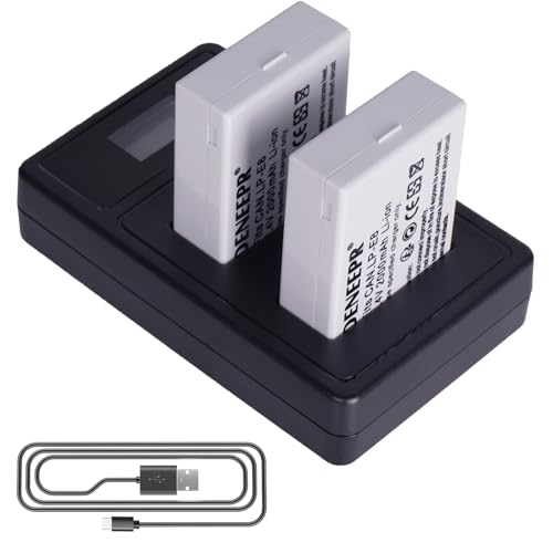 2Pcs LP-E8 Akku mit LED USB Dual Ladegerät für Canon EOS 550D, EOS 700D, EOS 600D, EOS 650D, Rebel T2i T3i T4i T5i, Kiss X4 X5 X6i X7i DSLR-Kameras von DENEEPR