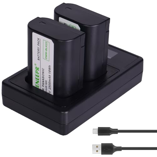 2er Pack 7.2V 2500mAh Akkus DMW-BLK22 Ersatzakku und Ladegerät Set, kompatibel mit Panasonic Lumix DC-S5 DC-S5 II DC-S5 IIX GH5 II GH6 S5II S5M2 GH5M2 von DENEEPR