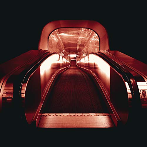 Along the Corridors [Vinyl LP] von DENOVALI