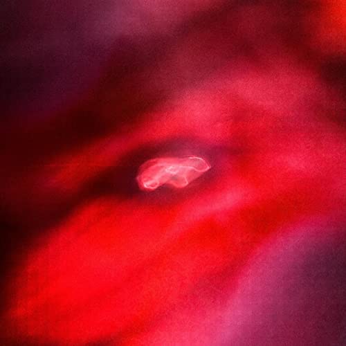 Faded Orbit [Vinyl LP] von DENOVALI