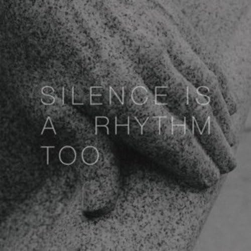 Silence Is a Rhythm Too [Vinyl LP] von DENOVALI