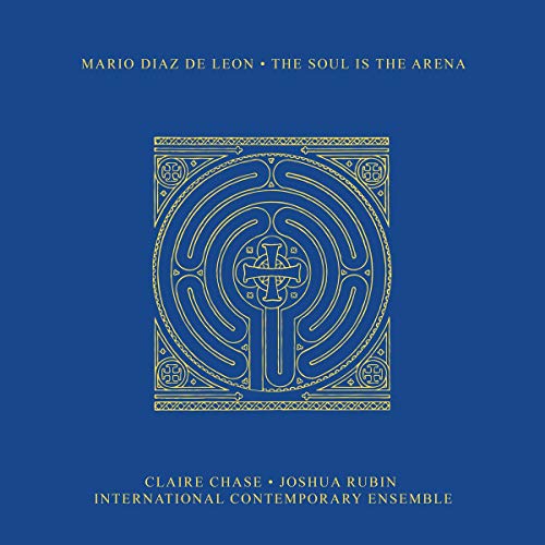 Soul Is the Arena [Vinyl LP] von DENOVALI