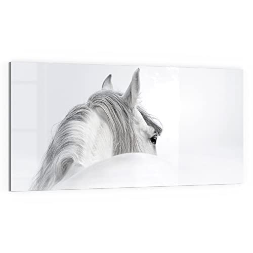 DEQORI Glas-Magnettafel | 100x50 cm groß | Motiv "Andalusisches Pferd" | Memo-Board aus Glas | Magnetboard inkl. Magnete, Stift & Tuch für Küche & Büro | Tafel magnetisch & beschreibbar von DEQORI