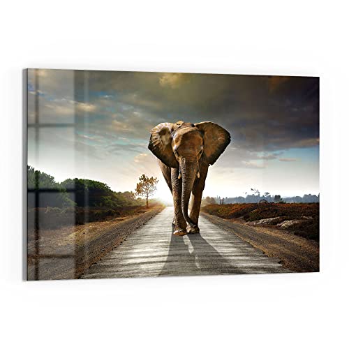 DEQORI Glas-Magnettafel | 60x40 cm groß | Motiv "Elefant auf Asphalt" | Memo-Board aus Glas | Magnetboard inkl. Magnete, Stift & Tuch für Küche & Büro | Tafel magnetisch & beschreibbar von DEQORI