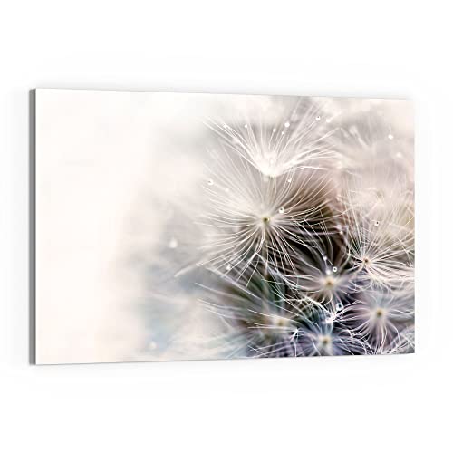 DEQORI Glas-Magnettafel | 90x60 cm groß | Motiv "Detailaufnahme Pusteblume" | Memo-Board aus Glas | Magnetboard inkl. Magnete, Stift & Tuch für Küche & Büro | Tafel magnetisch & beschreibbar von DEQORI