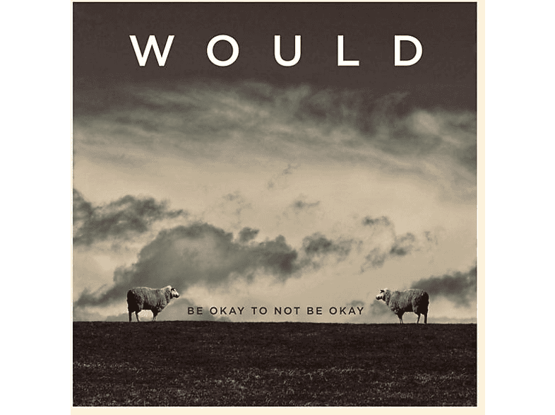 Would - Be Okay To Not (Vinyl) von DEVILDUCK