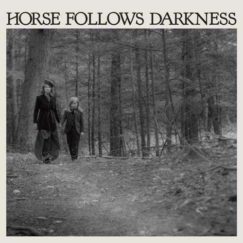 Horse Follows Darkness [Vinyl LP] von DFA