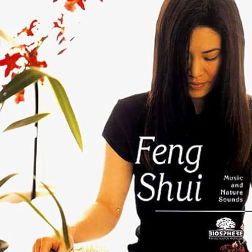 Various - Feng Shui von DG-MUSIQUE