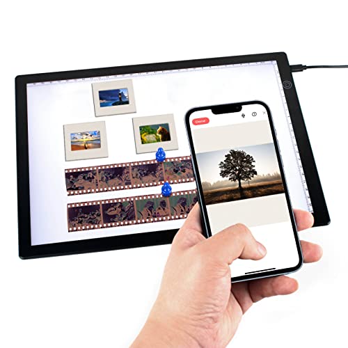 DGODRT Dia- und Filmscanner, ultradünne, tragbare Dia-Viewer-Lichtbox zum Konvertieren von 35-mm-Dias und Negativen in digitale Fotos, mit USB-Kabel und 3 Helligkeitsstufen von DGODRT