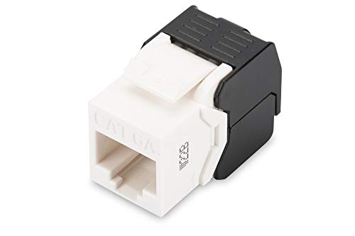 DIGITUS Keystone-Modul Cat-6A Ungeschirmt - RJ45-Buchse - 500 MHz 10GBase-T - AWG 26-22 - Werkzeugfreie Montage - Weiß DIGITUS Keystone-Modul Cat-6A Ungeschirmt - RJ45-Buchse - 500 MHz 10GBase-T - AWG 26-22 - Werkzeugfreie Montage - Weiß von DIGITUS