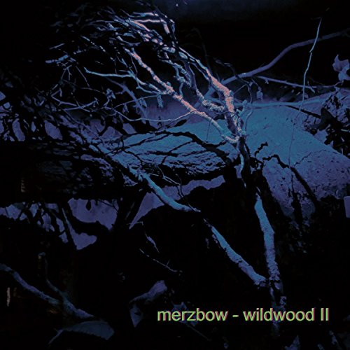 Wildwood II [Vinyl LP] von DIRTER PROMOTION