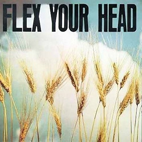Flex Your Head Lp [Vinyl LP] von DISCHORD