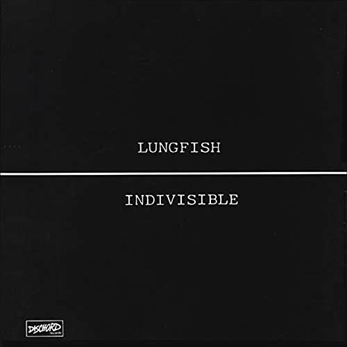 Indivisible [Vinyl LP] von DISCHORD