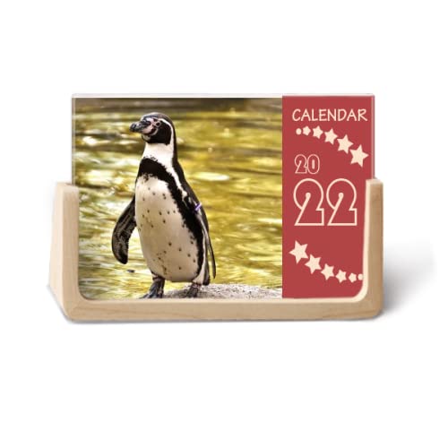 Southern Ocean Pinguin Antarktis Wissenschaft Natur 2022 Tischkalender Planer 12 Monate Southern Ocean Pinguin Antarktis Wissenschaft Natur 2022 Tischkalender Planer 12 Monate von DIYlab