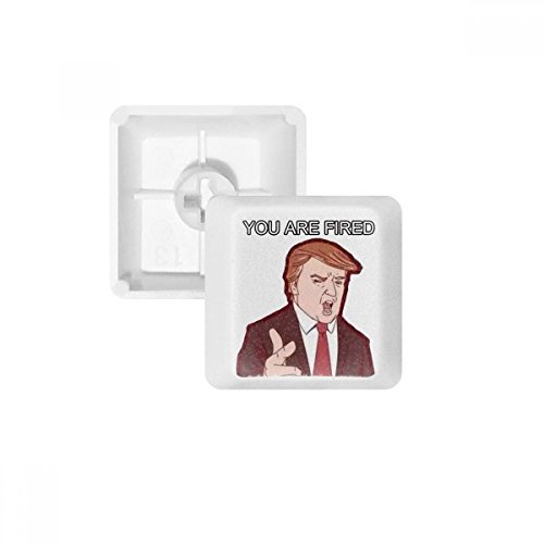 DIYthinker Amerika Amerikanische Präsident Cartoon-Bild PBT Keycaps für mechanische Tastatur Weiß OEM Keine Markierung drucken von DIYthinker