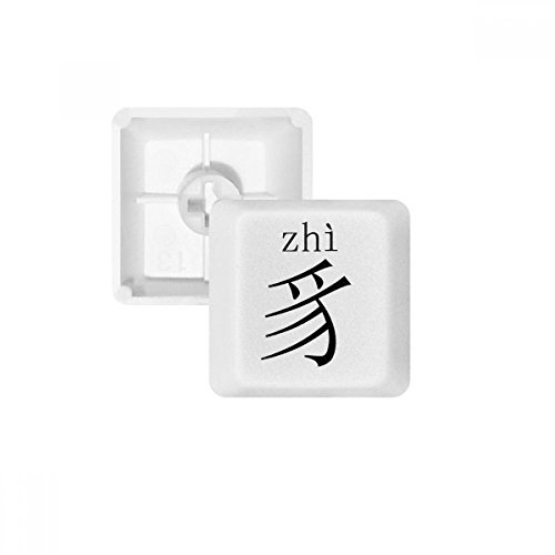 DIYthinker Chinesische Schriftzeichen Komponente Zhi PBT Keycaps für Mechanische Tastatur Weiß OEM Keine Markierung drucken von DIYthinker