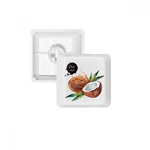 DIYthinker Coconut Fruit Tasty Healthy Aquarell PBT Keycaps für Mechanische Tastatur Weiß OEM Keine Markierung drucken von DIYthinker