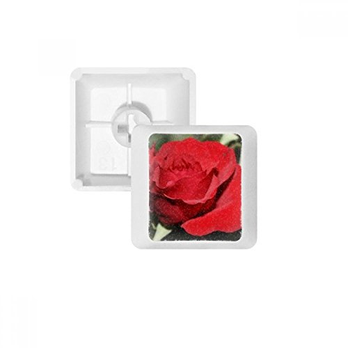 DIYthinker Red Big-Size-Rosen Blumen PBT Keycaps für mechanische Tastatur Weiß OEM Keine Markierung drucken von DIYthinker