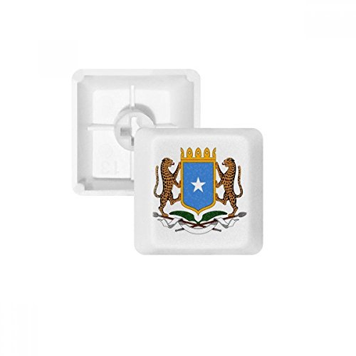 DIYthinker Somalia Afrika National Emblem PBT Keycaps für mechanische Tastatur Weiß OEM Keine Markierung drucken von DIYthinker