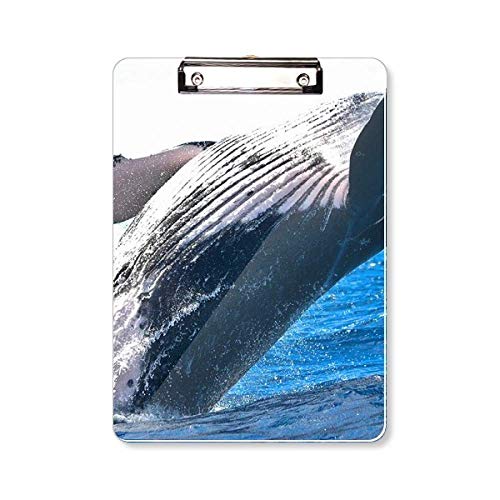 Marine Organism Whale Ocean Tier Klemmbrett Ordner Schreibblock Trägerplatte A4 Marine Organism Whale Ocean Tier Klemmbrett Ordner Schreibblock Trägerplatte A4 von DIYthinker
