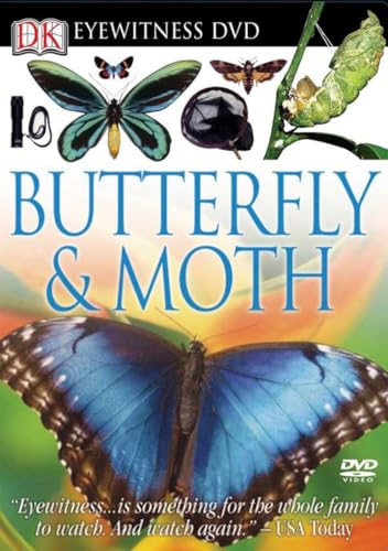 Eyewitness DVD: Butterfly and Moth von DK Children