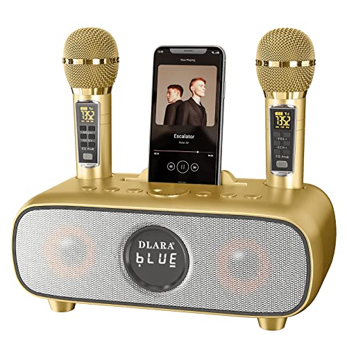 Upgrade Karaoke Maschine für Erwachsene und Kinder, tragbares Bluetooth 2 UHF drahtloses Karaoke Mikrofon mit Halterung/USB/TF-Karte/AUX-in, PA-Lautsprechersystem für draußen/drinnen-Gold von DLARA