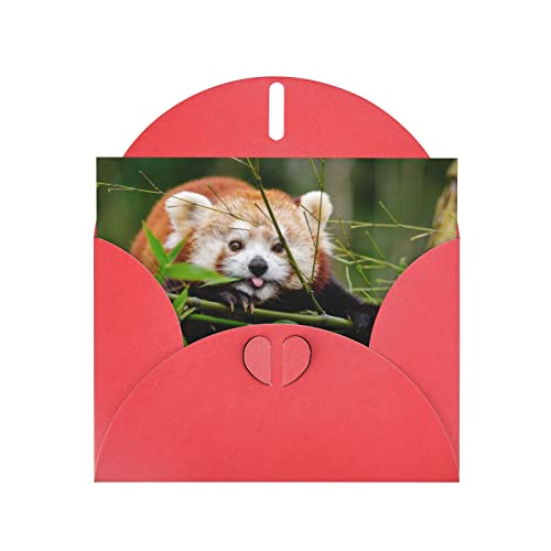 Roter kleiner roter Panda-Grußkarte: 10,2 x 15,2 cm, für Geburtstagskarte, Valentinstag, Hochzeitstag, Abschlussfeier, Einladungskarte usw. von DMORJ
