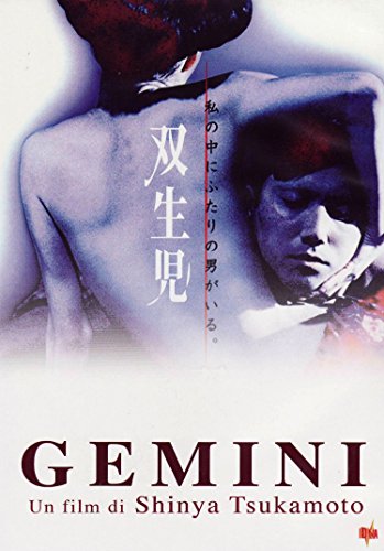 Gemini [IT Import] von DNA SRL