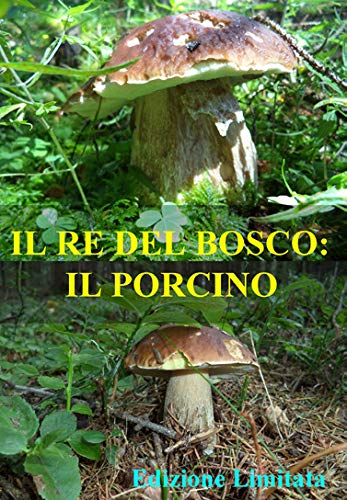 Re Del Bosco (Il) - Il Porcino (1 DVD) von DNA