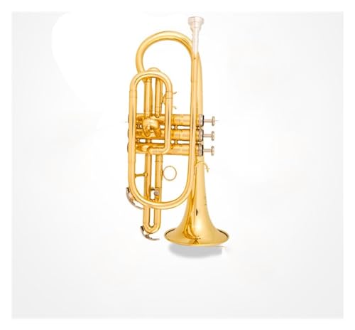 Professionell Trompete B-Kornett-Instrument tragbares Taschentrompeteninstrument professionelles Anfänger-Prüfungsband von DNJID