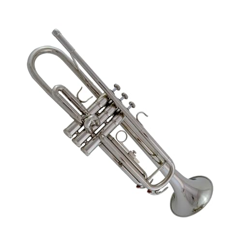 Professionell Trompete B-Trompete Gold Anfänger professionelle Leistung vernickelt (Color : 3) von DNJID