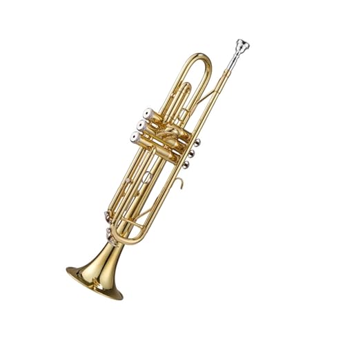 Professionell Trompete Dreiklang-Trompeteninstrument für Schüler Erwachsene Anfänger professionelles Knopftrompetentrommel- und Horn-Teaminstrument von DNJID