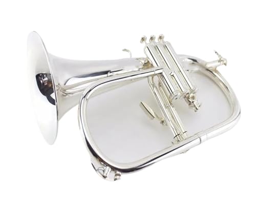Professionell Trompete Hochwertiges Blechblasinstrument für Anfänger versilberte Bb-Trompete Trompete mit Mundstück von DNJID