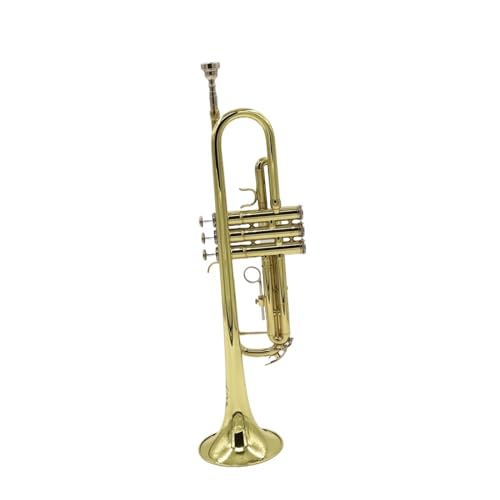 Professionell Trompete Klappe Blechblasinstrument Trompete Blasinstrument B Komplettset neu von DNJID