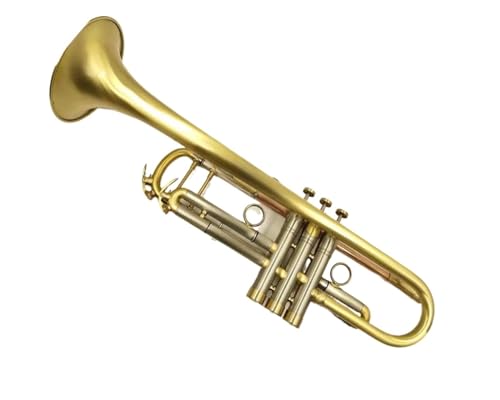 Professionell Trompete Professionelles B-Trompeteninstrument mit Messingbeschichtung und Koffermundstück von DNJID