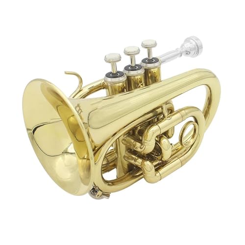 Professionell Trompete Professionelles Taschentrompeten-Nivellierungs-B-B-Blechblasinstrument mit Mundstück Handschuhen Stoff-Hartschalenetui von DNJID