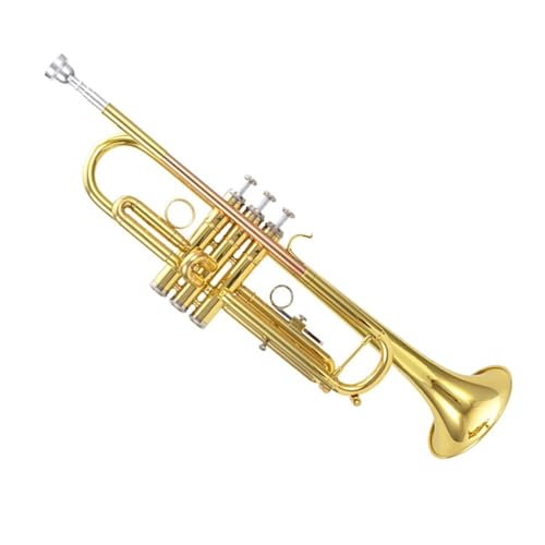 Professionell Trompete Professionelles zweifarbiges Trompeteninstrument B-Tuning-Grade-Performance-Messing-Phosphor-Bronze-Modell von DNJID