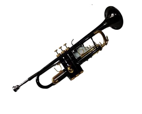 Professionell Trompete Schwarzes Nickel-Trompeteninstrument Bb-Messingtrompete flaches Instrument Blechbläser-Student von DNJID