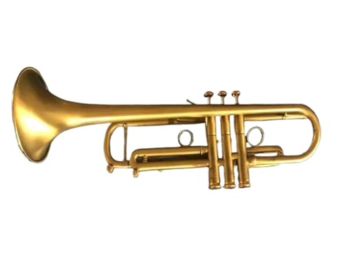 Professionell Trompete Sehr schöne Goldtrompete B-Dur im Vintage-Stil mit Box zwei Mundstücken Handschuhen und Zubehör von DNJID