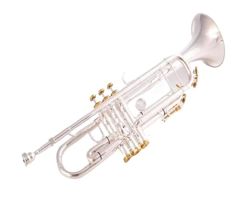 Professionell Trompete Standard-Studentrompete professionelle Trompete B-Flachmessing versilbertes Musikinstrument mit Lederetui (Color : Brass) von DNJID