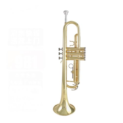 Professionell Trompete Trompete B-Dur Einsteigerinstrument für professionelle Hochschulprüfungen von DNJID