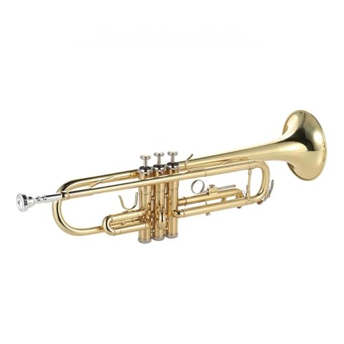Professionell Trompete Trompete Bb Flachmund Messing vergoldet Exquisites und langlebiges Blechblasinstrument mit Trompetenmundstück Handschuhe Riemenetui von DNJID