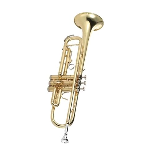 Professionell Trompete Trompeteninstrument B-Dur Kinder Profi Blechblasinstrument Zubehör Trompete Messing vergoldet von DNJID