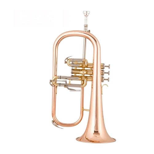 Professionell Trompete Verbessertes B-Instrument aus Phosphorbronze und Roségold für professionelle Darbietung von DNJID