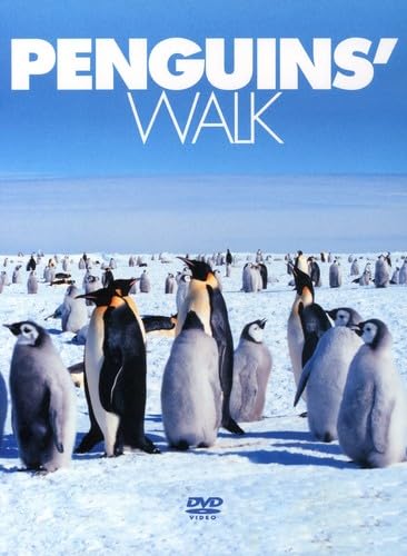 Penguins' Walk von ZYX
