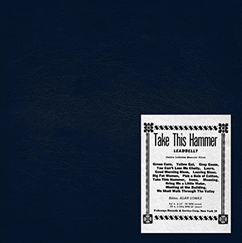 Take This Hammer [Vinyl LP] von DOL